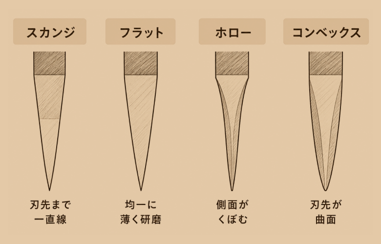 断面図、スカンジ・フラット・ホロー・コンベックス