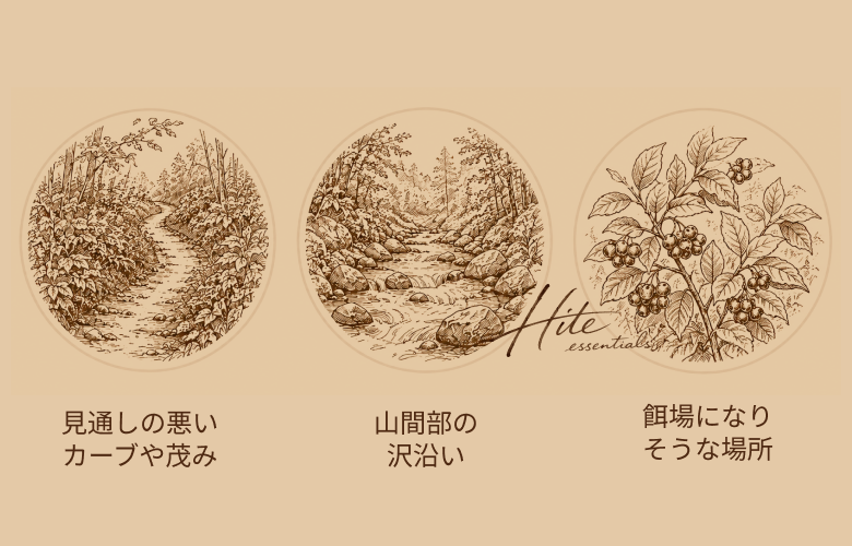 見通しの悪いカーブや茂み/山間部の沢沿い/餌場になりそうな場所のイメージ